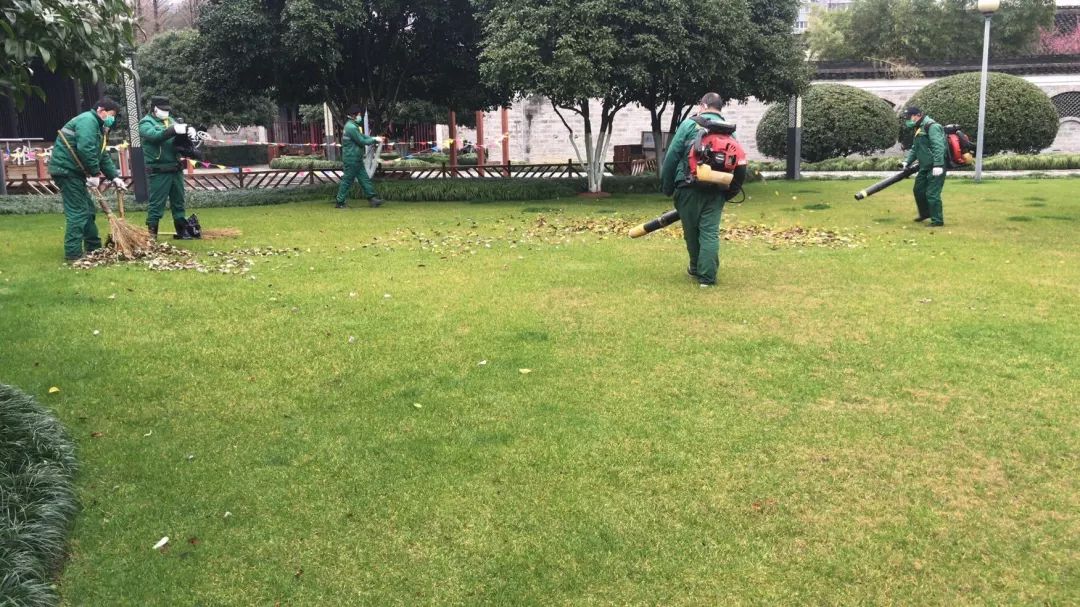 奇异果体育- 奥格斯堡主场草皮升级完成，雨雪天气不影响赛事质量  